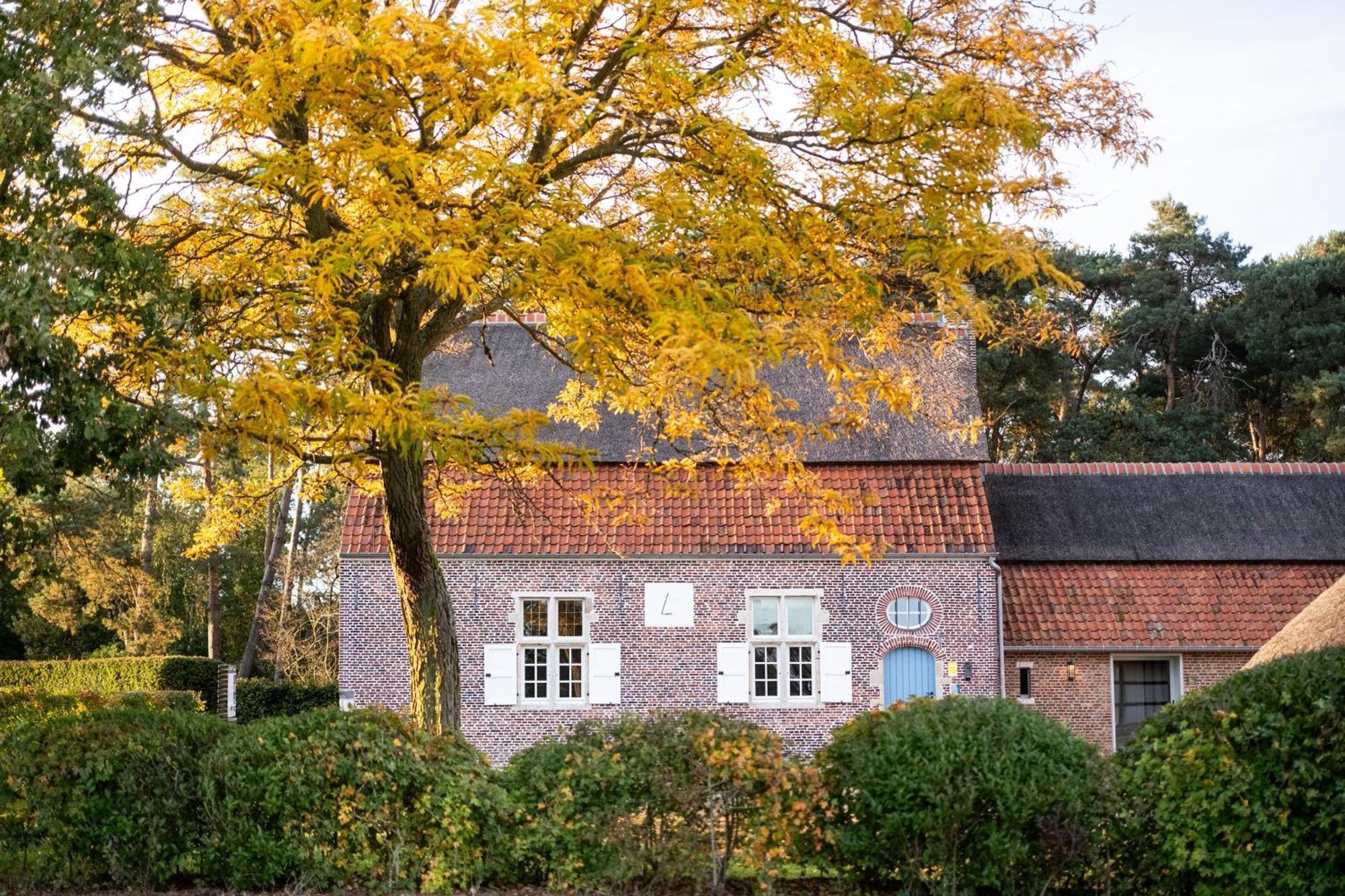 Beddermolen - Molenhuis Op Historisch Erfgoeddomein فيسترلو المظهر الخارجي الصورة